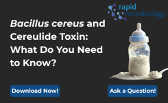 Bacillus cereus and Cereulide Toxin