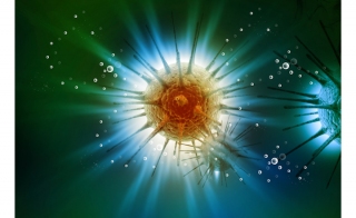 Highly Sensitive and Precise In Vivo Luminescence imaging