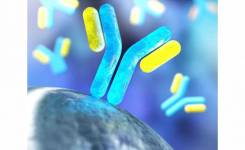 High Performance Magnetic Beads for Immunoassays