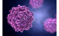 AAV reference standards