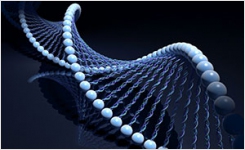 QC Standards for Molecular Respiratory Tests