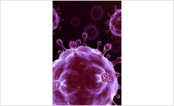 Boost your Influenza Research with ATCC Virology Collection