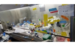 Untidy biological safety cabinet