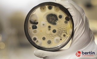 Application Note on Viable Fungi in Hospital Environments nbsp 