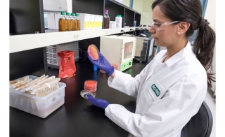 Bio-Rad's <em>Listeria </em>Detection Methods: All in One Place!