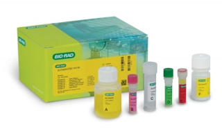 MicroVal Approves Bio-Rad PCR Kit for Detection of STEC in Flour and Raw Dough