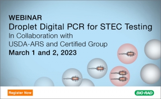 Droplet Digital PCR for STEC Testing