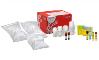 Bio-Rad Launches New Kits For Meat Speciation