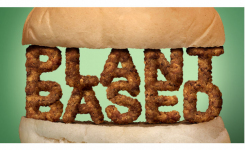 Plant based meat text in burger bun