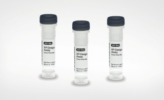 Bio-Rad XP-Design Assay em Salmonella em Serotyping Solution for Rapid Accurate Food Safety Testing 
