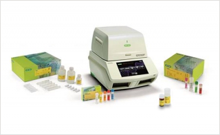 Bio-Rad’s Complete Solution for <em>Legionella</em> Testing