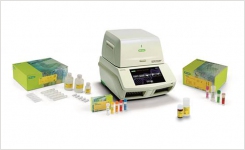 legionalla PCR