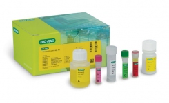 AOAC Approved Listeria Test for Swabs and Sponges