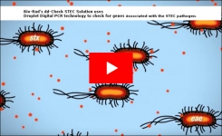 Droplet Digital PCR for Food Testing