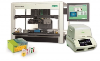 Real-Time PCR and Chromogenic Media to Detect <em>Salmonella </em>in Food 