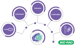 Food pathogen testing for contract service labs