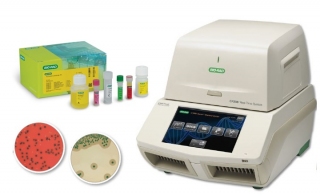 Bio-Rad's <em>Listeria </em>Detection Methods: All in One Place!