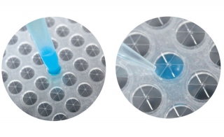 New Slit Seal Prevents Evaporation During nbsp Cell Culturing in 96-well Microplates