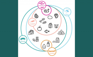 Biolog Lab Services Enters Food Safety Arena to Combat Pathogen Risks