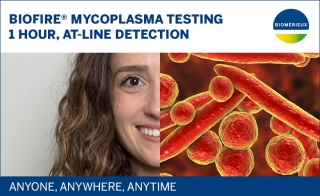 BIOFIRE sup reg sup Mycoplasma - Rapid Testing by Anyone Anywhere Anytime