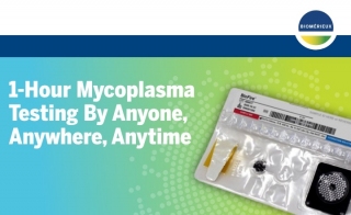 Save Time and Money When Testing for Mycoplasma With Automation