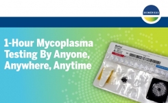 bioMerieux BIOFIRE Mycoplasma system