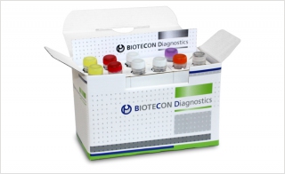 foodproof Norovirus GI GII Plus Hepatitis A Virus Detection Kit