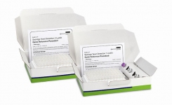 PCR for Spoilage Yeast in Beverages