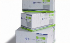 Biotecon food pathogen PCR kits