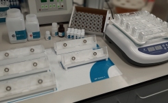 Rapid Legionella detection in Water