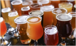 Rapid Detection Methods for Beer Spoilage Organisms