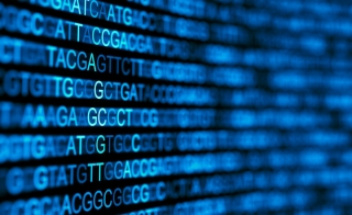 Charles River Introduces Accugenix sup reg sup Next Generation Sequencing Enhancing Efficiency and Quality