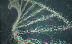 The most accurate and reproducible for identifying unknown organisms