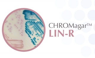CHROMagar trade LIN-R to Fight the Emergence of Linezolid-Resistant Strains