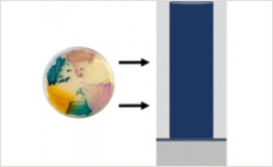 Combined use of chromogenic media and MALDI-TOF MS