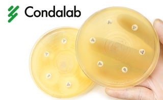 Condalab is Your Ally For The Analysis of Resistant Microorganisms