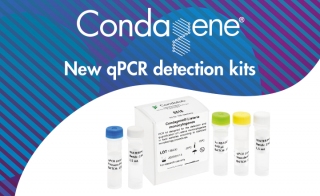 Condagene<sup>®</sup><em> Listeria monocytogenes</em>: the Best qPCR Solution for <em>L. mono</em>