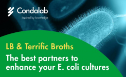 Condalab culture media for Recombinant E Coli