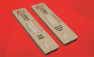 Identify OXA-48-like OXA-163 KPC NDM and VIM Carbapenemases from Cultures