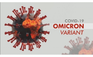 Recombinant SARS-CoV-2 Omicron Variant (B.1.1.529) Protein