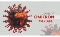 Recombinant SARS-CoV-2 Omicron Variant Protein