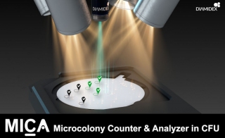 When DIAMIDEX Makes Pasteurian Microbiology a Rapid Enumeration Method