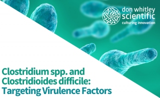  em Clostridium em spp and em Clostridioides difficile em Targeting Virulence Factors