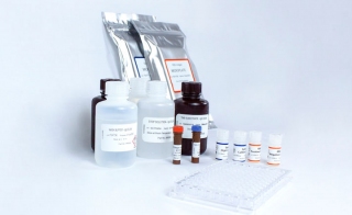SARS-CoV-2 Neutralizing Antibody Test is FDA-EUA and CE-Marked