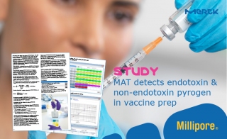 Study: MAT Detects Endotoxin & Non-Endotoxin Pyrogen in Vaccine Prep