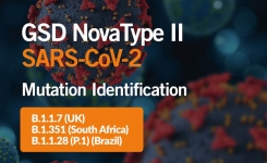 RT-PCR testing for SARS-CoV-2 COVID-19 variants