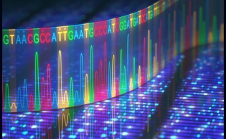 Eurofins Genomics NGS Services now Includes Illumina 39 s Latest Sequencing Platform nbsp 