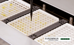 Antigen ELISA test for SARS-CoV-2