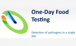 salmonella qpcr kit