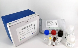 First-In-The-World SARS-CoV-2 Serology Test to Detect Neutralizing Antibodies